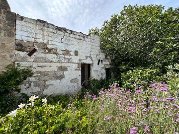 Rudere con ampio terreno, Matino (LE)