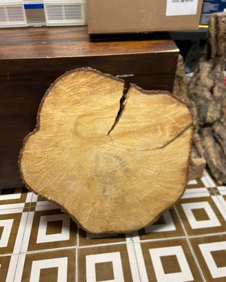 Sezione di abete 60cm diametro