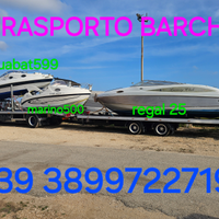 BARCA open dolphin 2025+ MERCURY + TRASPORTO