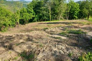 Terreno Residenziale Gropparello