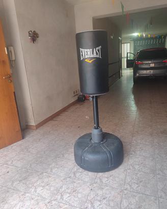sacco da boxe da terra