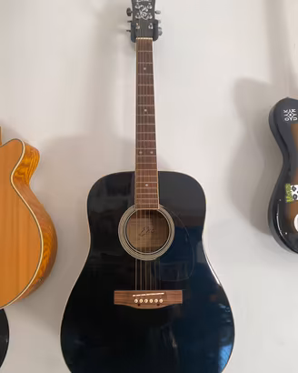 Chitarra acustica EKO