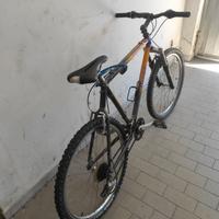 MTB Giant