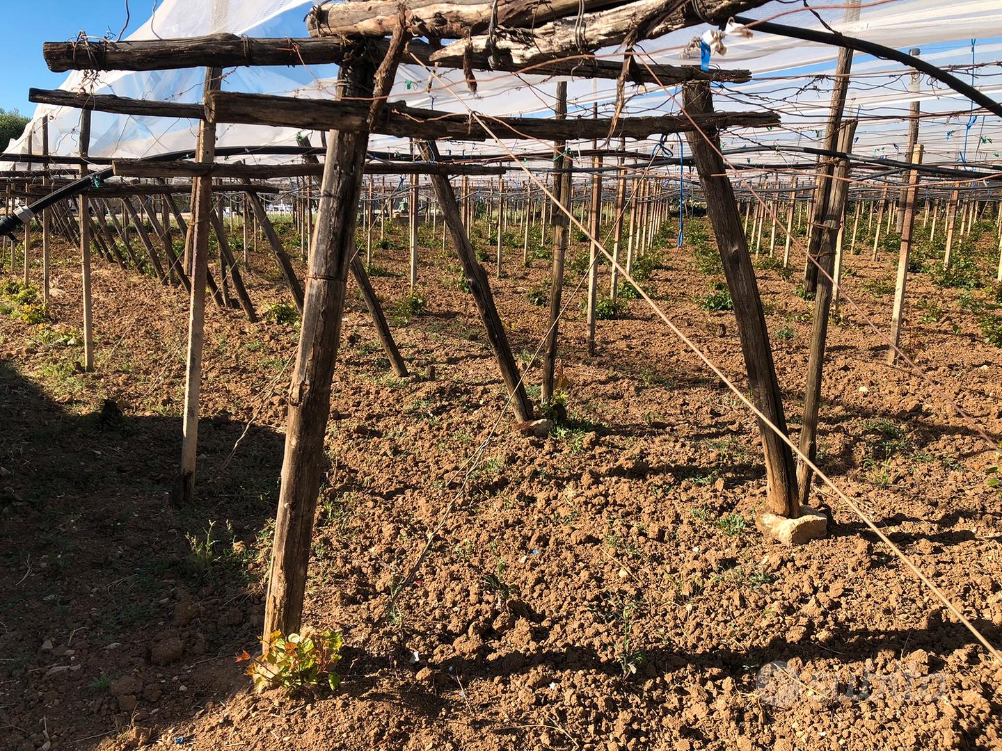 Terreno con Fabbricato Indipendente - Altro