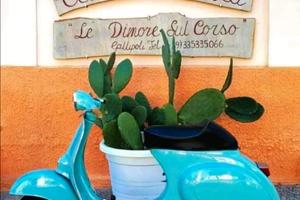 Ferragosto Maxi Casa a Gallipoli 20 posti 4 bagni