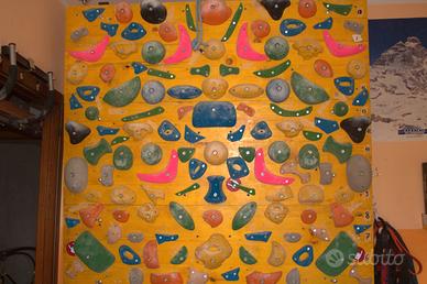 PARETE ARRAMPICATA INCLINABILE CON PRESE