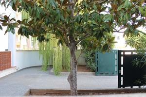 Dal 4 al 11 luglio ampio trilocale baia verde