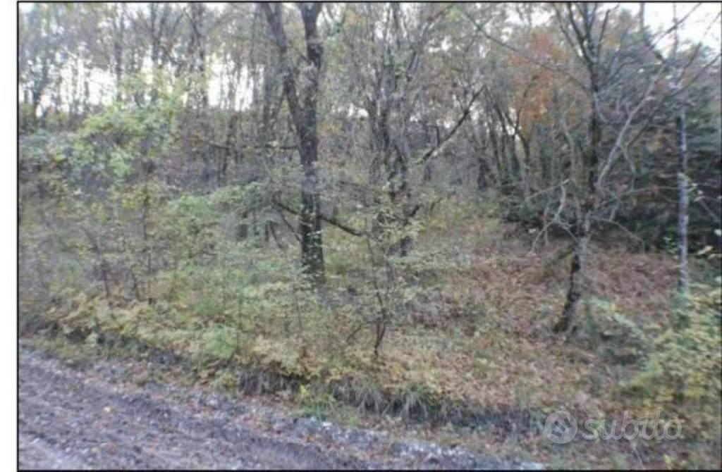 Immobile in asta di 65380 m² a Nocera Umbra - Vista 4