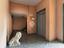 Immagine 27