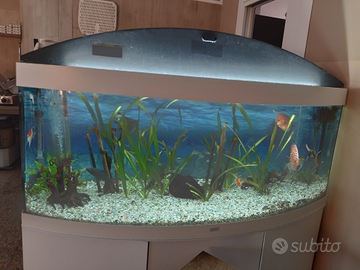 Acquario 500 litri Juwel
