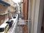 Immagine 9