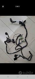 ducati multistrada rapidbike  cablaggio 