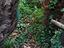 Immagine 12