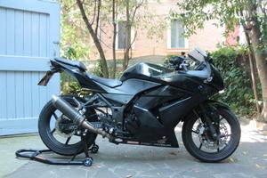 Kawasaki Ninja 250r 2010