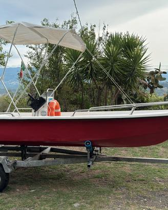 Barca open 4.2 mt + Evinrude 25cv+carrello