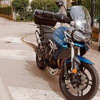 Triumph Tiger - 2019