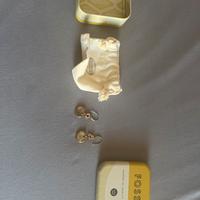 Orecchini fossil