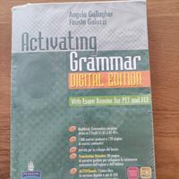 Activating grammar digital edition 