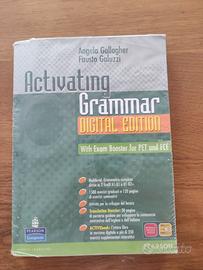 Activating grammar digital edition 