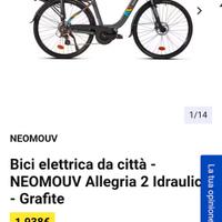 bicicletta elettrica sportiva 