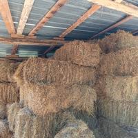 Balle Ballette Di Fieno Estate 2025