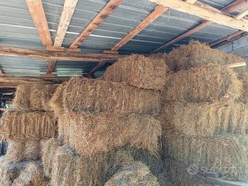 Balle Ballette Di Fieno Estate 2025