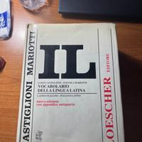 Dizionario Il Latino