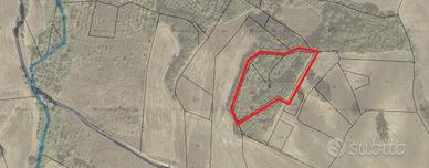 Casa rustico e terreni a Montecilfone (Molise)