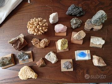 Piccola Collezione Amatoriale di Minerali Fossili