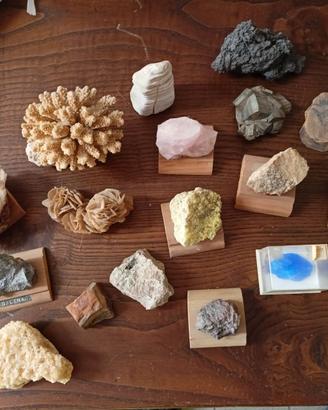 Piccola Collezione Amatoriale di Minerali Fossili
