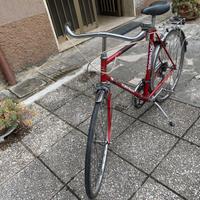 Bicicletta city bike Torpado