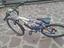 Immagine 2