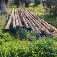PALI IN LEGNO PER ILLUMINAZIONE