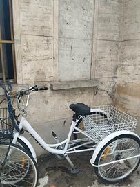 bici cargo