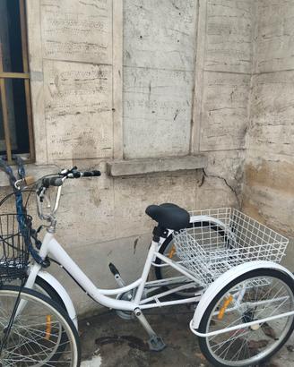 bici cargo