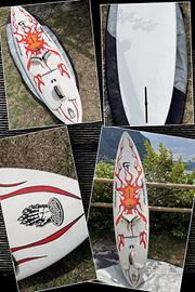 Tavole Windsurf + Vela Neil Pryde