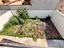 Immagine 13