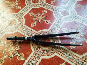 Forcella carbonio bdc, WBE