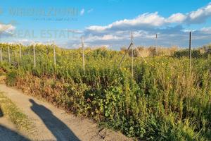 Terreno Agricolo Zona Tre Fontane