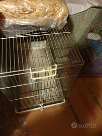 Gabbie per criceti e tartarughe