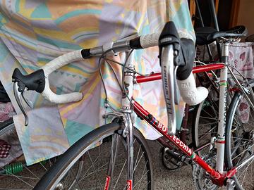 bdc Bottecchia 
