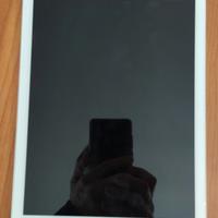 I Pad Modello A 1893