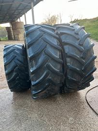 Gomme Agricole