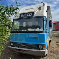 Camion trasporto animali