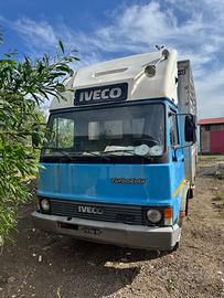 Camion trasporto animali