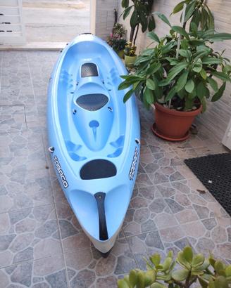 canoa rigida bic