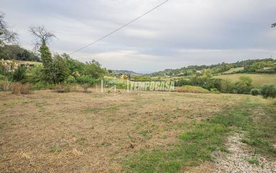 TERRENO AGRICOLO A POTENZA PICENA