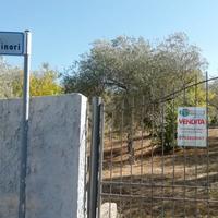 Indipendente. Segasidda Minori