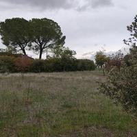 Terreno agricolo con fabbricato - vicino Matera