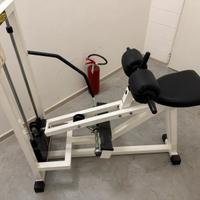 Calf machine Tecnogym
